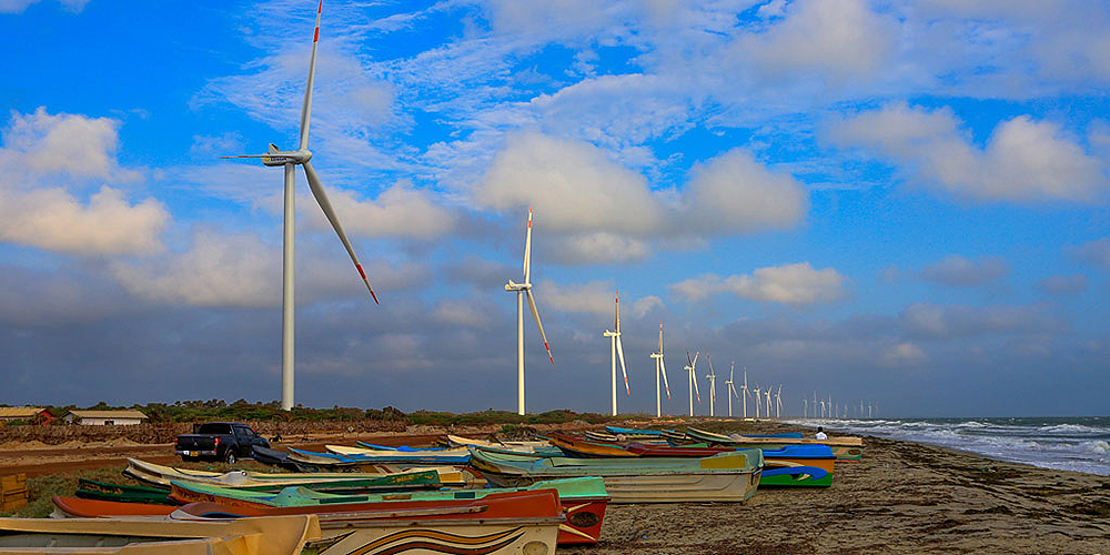 Generator View